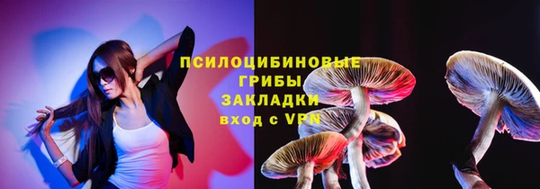 СК Абинск