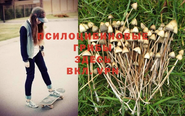 MDMA Premium VHQ Нефтегорск