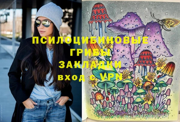 марки lsd Абаза