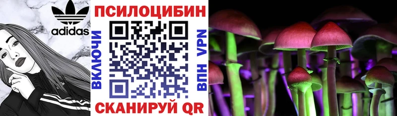 как найти закладки  Райчихинск  Псилоцибиновые грибы Cubensis 