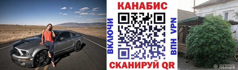 как найти закладки  Райчихинск  Шишки марихуана ГИДРОПОН 